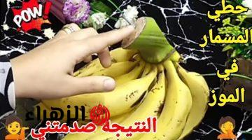 هتندمي انك مكنتيش تعرفيها.. حطي المسمار في الموز بهذه الطريقة وهتتفاجئي باللي هيحصل.. ضاع عمرك متعرفيهاش