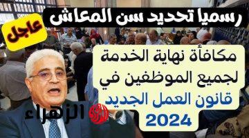 “الف مليون مبروك ليهم “… رسميا تحديد سن التقاعد الرسمي للمعاش ومكافأة نهاية الخدمة وفقا لقانون العمل الجديد 2024.. مش هينامو الليلة!!