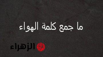 “لغز لغوي أتحداك تعرف تحله لوحدك” .. هل تعلم ماهو جمع كلمة هواء في قاموس اللغة العربية!! .. إجابة عجز عن حلها ملايين الطلاب والمعلمين ! !!!