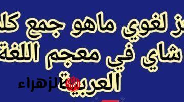 لو انت عبقري إعرف حلها لوحدك .. السؤال الذي حير الطلاب ما هو جمع كلمة شاي في المعجم العربي الفصيح .. إجابة ولا كانت تخطر علي بال المعلمين