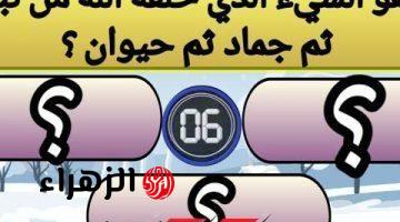 “لغز تبقي عبقري لو عرفتو!!” .. هل تعلم ما هو الشيء الذي كان في بداية خلقة نبات ثم تحول إلى جماد ثم حيوان؟! .. مش هتصدق هو إيه !!!