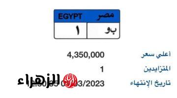 اعرف القيمة المضافة لصندوق تحيا مصر من شراء اللوحات المميزة للسيارات