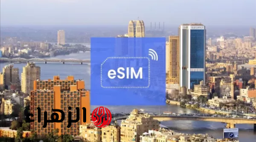 قبل طرحها رسميًا في مصر.. كل ما تحتاج معرفته عن شريحة eSIM – مزاياها والأجهزة المتوافقة مع التكنولوجيا الجديدة