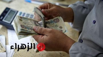 جهز ورقك.. مفاجأة حكومية سارة عن صرف معاشين لهذه الفئات