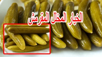 هو ده وقته .. طريقة تحضير مخلل ” الخيار ” المقرمش في المنزل .. خطوات بسيطة وغير مكلفة !!