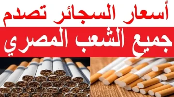 عقب الزيادة الجديدة .. بيان هام من الشرقية للدخان حول أحدث أسعار السجائر اليوم الجمعة 8 من نوفمبر في محلات السوبر ماركت !