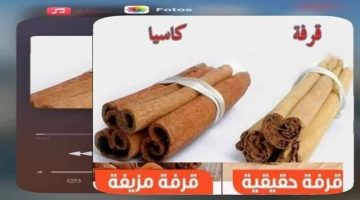 عطار مشهور قاللي .. ازاي تفرق بين القرفة الحقيقة والمزيفة.. محدش هيضحك عليك تاني