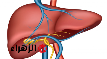 “الأطباء يحذرون” 5 علامات تظهر في جسم الإنسان تدل على تلف الكبد ومخاطر الفشل الكبدي