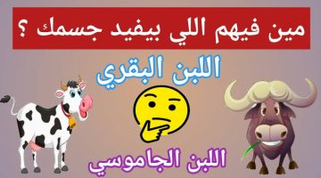 الحليب البقري أم الجاموسي.. أيهما أكثر فائدة؟ ستتفاجئ من الإجابة!