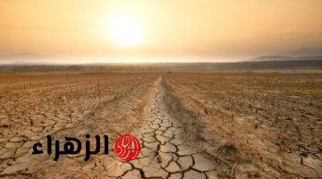 انطلاق أعمال مؤتمر الأطراف بشأن تغير المناخ COP29 بالعاصمة الأذرية باكو