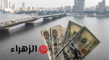 سعر الدولار مقابل الجنيه اليوم الأربعاء 13 نوفمبر 2024 بيع وشراء.. 100 دولار كم مصري؟