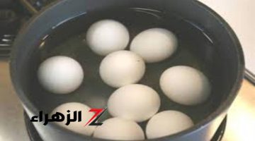 “الدنيا بحالها متعرفش السر !”.. تعرف علي سر اضافه معلقه خل عند سلق البيض…كل الناس هتنبهر بالمعلومة