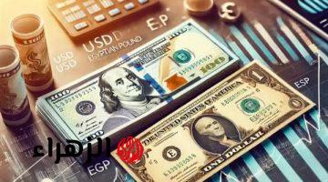 تحرك سعر الدولار قبل مؤتمر مفاوضات صندوق النقد الدولي بساعات .. ماذا حدث للأخضر  في أول عمل للبنوك اليوم