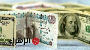 تحرك مفاجئ يضرب أسعار الدولار في بنوك مصر اليوم  بعد تصريحات الحكومة المبشرة بشأن سعر الصرف وصل كام الان ؟