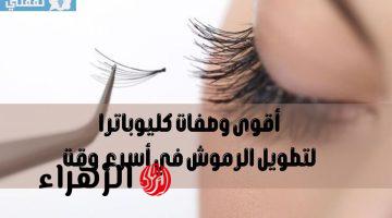 تطويل الرموش حققي حلمك بأقوى وصفات كليوباترا لإطالة رموشك في أسرع وقت