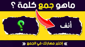 5% بس اللي عارفين الاجابة… ما هو جمع كلمة أنف في معجم اللغة العربية؟ حيرت ملايين الطلاب