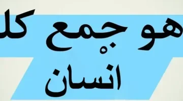 السؤال الذي حير الطلاب .. ما هو جمع كلمة إنسان في اللغة العربية ؟؟ أبكت جميع الطلاب