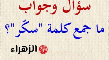 «سببت رسوب مدارس كامله..!!» ماهو جمع كلمة سكر في اللغة العربية من تتوقع الإجابة الصحيحة دكتور جامعي يجيب عليها.. هتتصدم لو عرفتها..!!