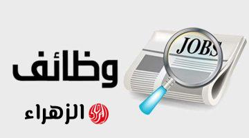 حتى 43 سنة.. وظائف جديدة في “وزارة الشباب” براتب شهري 11,000 جنيه وبدون خبرة | «شروط ورابط التقديم»