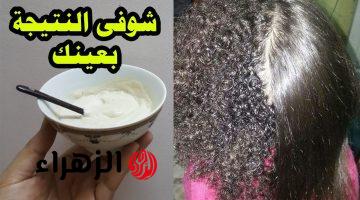 خلطة الكوسا السحرية أقوى كيراتين طبيعي لتنعيم الشعر الجاف والمجعد ليصبح مثل الحرير