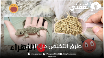 رشي على البرص هذا المكون وهيختفي فوراً وبدون عودة نهائياً بطريقة فعالة ومضمونة