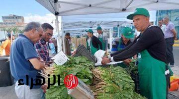 زيرو ربح زيرو شحن.. سوق اليوم الواحد من المنتج للمستهلك دون أى وسيط