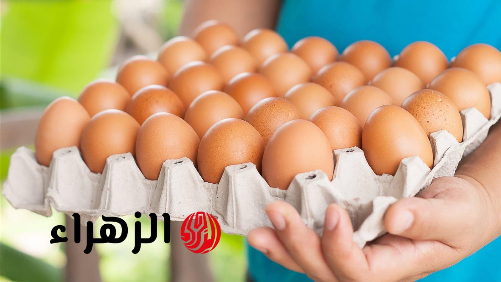 أسعار البيض ترتفع مجددًا بعد موجة تراجع.. وتحذيرات من تفاقم أزمة صناعة الدواجن