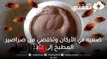 ضعيه في الأركان وتخلصي من صراصير المطبخ الصغيرة على الفور وبدون مبيدات