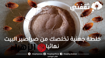 طرق سهلة وفعالة للتخلص من الصراصير وإبعادها نهائياً عن منزلك.. جربها الآن