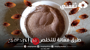 طرق مجربة وفعالة للتخلص من الصراصير نهائياً وبدون عودة مجددًا