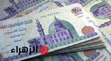 عائد تنافسي.. أسعار شهادة ادخار لمدة 3 سنوات من بنك QNB مصر