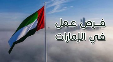 براتب يصل لـ 4000 درهم.. الحكومة تعلن عن فرص عمل بالإمارات لهذه التخصصات بدون رسوم