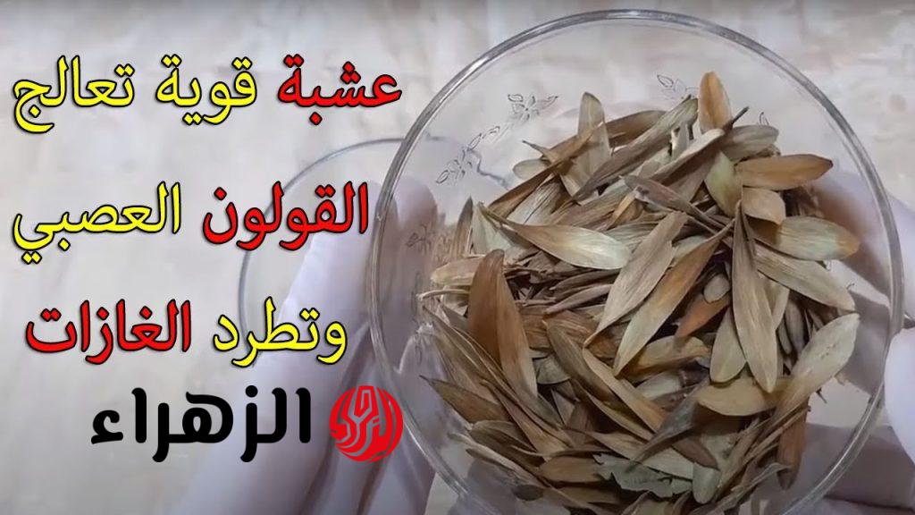 الزاز في علاج الإمساك والغازات وآلم القولون