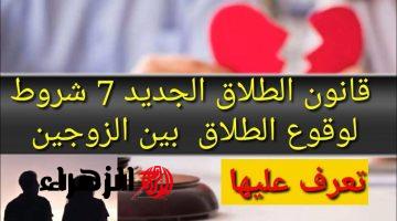 اللي طلق فلت خلاص”… رسميًا الحكومة تضع 7 شروط هامة لوقوع الطلاق بين الزوج والزوجة حسب قانون الأحوال الشخصية الجديد 2024