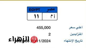 لوحة معدنية مميزة سعرها يقترب من نصف مليون جنيه.. اعرف تفاصيل المزاد