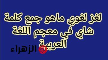 كل الطلاب ما عرفوش الاجابة.. ما هو جمع كلمة شاي في اللغة العربية يا ترى كنت تعرفها ولا لا؟!!