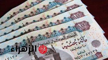 متى يتم تطبيق قانون المعاش المبكر لمواليد الثمانينات؟.. امتيازات ممتازة وخاصة