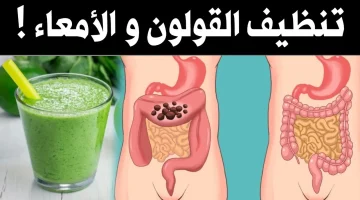 عطار ابن حلال قالي عليها!… عشبة سحرية هتخلصك من مشاكل القولون وسموم الجسم بعد ساعة من تناولها!