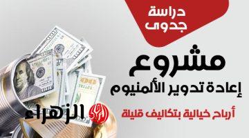 ياسعدك يا هناك لو بدأت المشروع ده..مشروع إعادة تدوير الألومنيوم هتحقق ربح حلو، وهتحافظ على البيئة في نفس الوقت؟ اكتشف التفاصيل والخطوات!