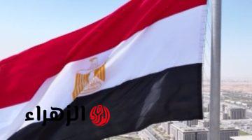 مصدر مصرى مطلع: دعم دولى لجهود مصر مع فلسطين وإسرائيل للتوصل لوقف إطلاق نار