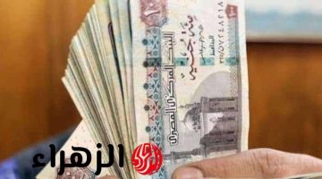 يصل لـ 1000 جنيه.. معاش شهري جديد يصرف لهؤلاء فوراً بقرار من الحكومة