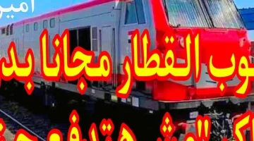 مش هتدفع ولا شلن من النهارده.. هيئة السكك الحديدية أعلنت إن في فئات تقدر تركب القطار مجاناً! شوف نفسك منهم ولا لأ، يا بختك لو طلعت منهم!