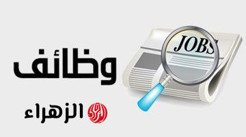 بمرتبات تصل إلى 8000 جنية.. وزارة الشباب والرياضة تعلن عن توافر وظائف خالية لأصحاب هذه التخصصات