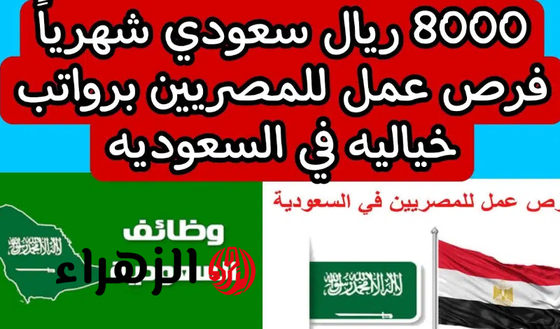 فرصة لا تعوض.. وظائف وفرص عمل للمصريين في السعودية بمرتبات تصل لـ8000 ريال