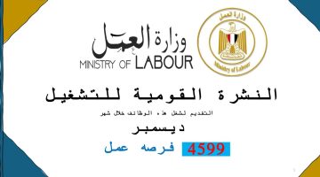 رواتب تصل 20000 جنيه.. 4599 فرصة عمل من وزارة العمل للشباب لن تعوض في 10 محافظات| تفاصيل