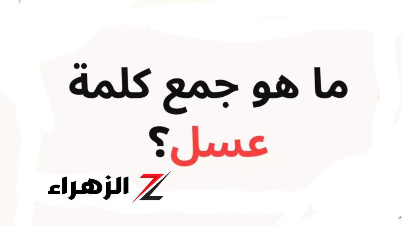 الإجابة حيرت ملايين الطلاب... ما هو جمع كلمة عسل في اللغة العربية؟.. عمرها  ما هتيجي على بالك خالص - بوابة الزهراء الإخبارية