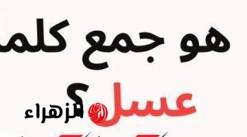 هتبقي عبقري لو عرفتها! .. هل تعلم ما هو جمع كلمة عسل في قاموس اللغة العربية؟ .. إجابة حيرت الجميع !!