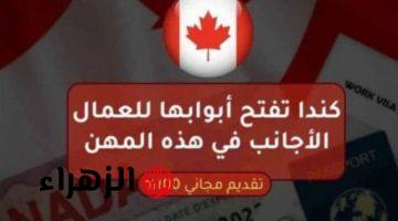 “ولا حوجة للسعودية”… كندا تعلن عن 7 وظائف متاحة بمرتبات مجزيه و تأشيره مجانية… فرصة العمر جاتلك!!