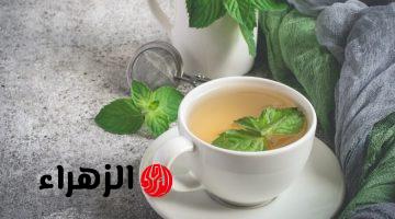 مفيش كلام تاني هيتقال بعد الوصفة دي!! .مشروب ورق الغار والنعناع للقضاء على دهون البطن والكرش والأرداف الدهون بدون رجيم ولا حرمان!!