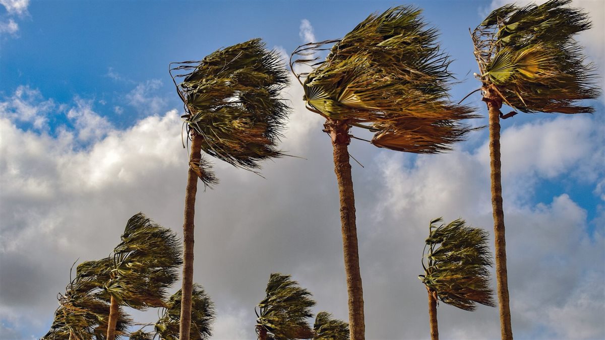 1733899311 958 ظاهرة جوية تضرب أغلب الأنحاء حتي نهاية الأسبوع حالة الطقس